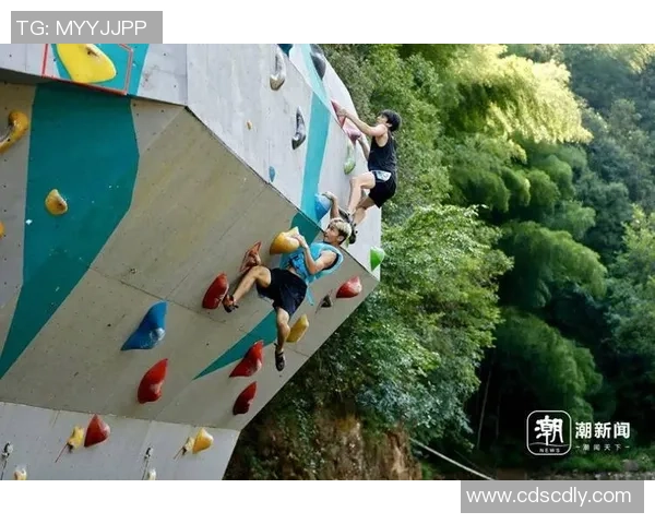杭州攀岩队与成都攀岩队比赛经验的深度分析与反思